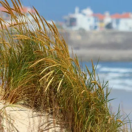 Delmar Surf House *