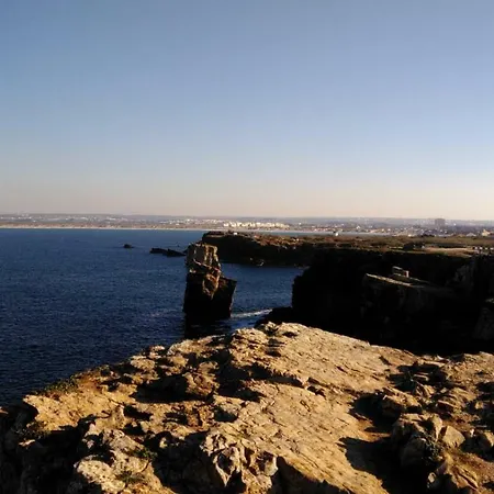 بيت ضيافة Delmar Surf House